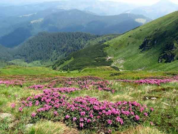 Поиск путешествий в Вечерние